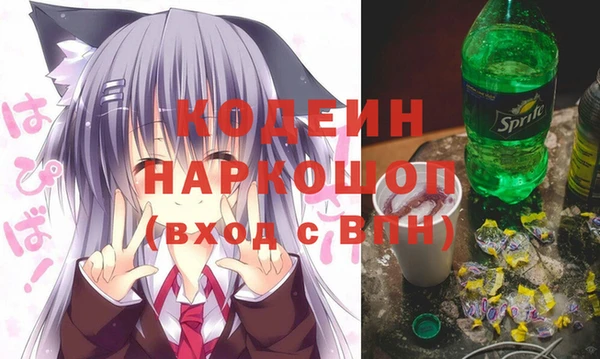 хмурый Алзамай