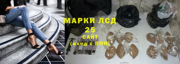 хмурый Алзамай