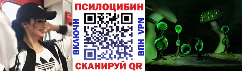 Псилоцибиновые грибы прущие грибы как найти Новоульяновск